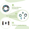DICOSMETIC 12Pcs 6 Styles Natural Abalone Shell/Paua Shell Beads SSHEL-DC0001-01-4