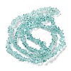 Spray Painted Transparent Glass Beads Strands X-GLAA-P060-01B-04-2