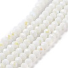 Electroplate Opaque Solid Color Glass Beads Strands EGLA-A034-P6mm-L17-1