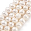 Natural Cultured Freshwater Pearl Beads Strands PEAR-C003-14F-1