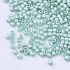 Pearlized Cylinder Seed Beads SEED-Q036-02A-E04-3