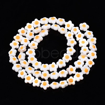 Natural White Shell Beads Strands SHEL-N003-30-1