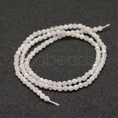 Natural Rainbow Moonstone Beads Strands G-F460-44-1