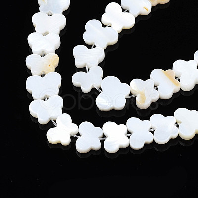 Freshwater Shell Beads Strands SHEL-T009-A18-1