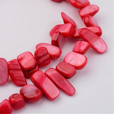 Natural Shell Bead Strands BSHE-P020-M-1