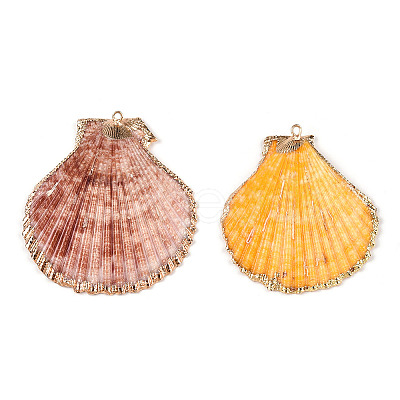 Electroplate Multicolor Sea Shell Pendants SSHEL-S262-31-1