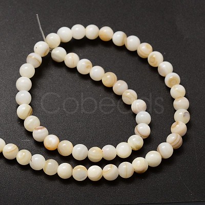 Natural Freshwater Shell Round Bead Strands X-SHEL-M013-01-1