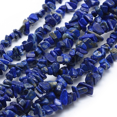 Natural Lapis Lazuli Beads Strands X-G-P332-50-1