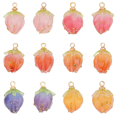 Olycraft 12Pcs 6 Colors Opaque Acrylic Charms MACR-OC0001-17-1