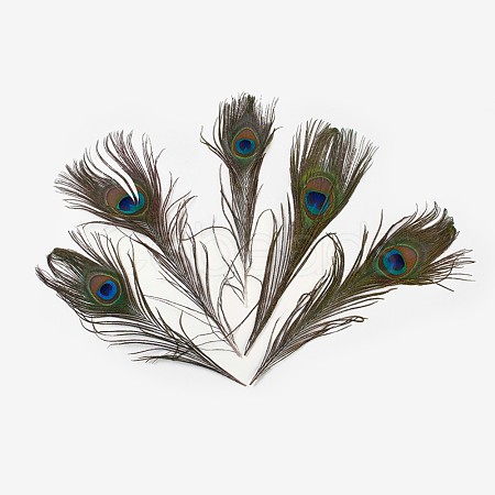 Natural Peacock Feather AJEW-TA0013-08-1