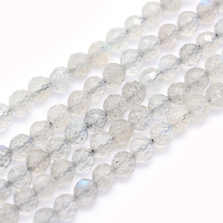 Natural Labradorite Beads Strands G-O166-22-3mm-1