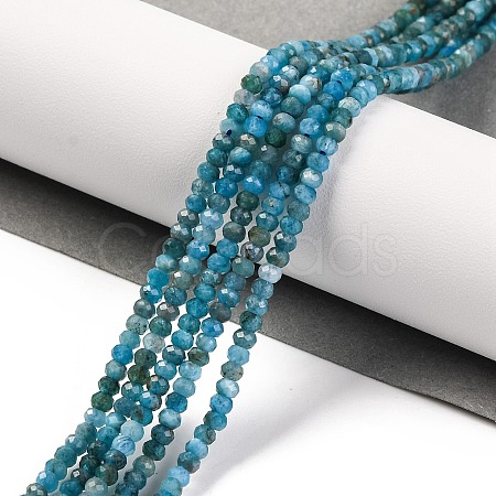 Natural Apatite Beads Strands G-F770-D09-02B-1