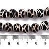 Tibetan Style dZi Beads G-U006-06D-01-5