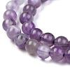 Natural Amethyst Beads Strands G-I256-02C-A-5