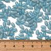 Transparent Colours Glass Seed Beads SEED-F006-03A-11-4