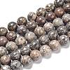 Natural Leopard Skin Jasper Beads Strands G-R474-004-1