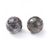 Natural Fossil Beads G-G782-04-2
