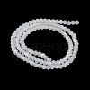 Transparent Glass Beads Strands EGLA-A044-T3mm-MB19-4