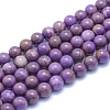 Natural Lepidolite/Purple Mica Stone Beads Strands G-L552H-09C-1