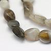 Natural Botswana Agate Beads Strands G-L464-03-2