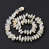 Natural White Moonstone Beads Strands G-D480-A16-03-3