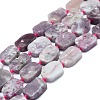 Natural Cherry Blossom Tourmaline Beads Strands G-K245-J23-01-1