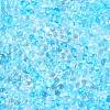 Spray Painted Glass Seed Beads SEED-T007-08B-2