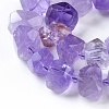 Natural Amethyst Beads Strands G-F653-07-3