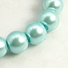 Pearlized Glass Pearl Round Beads Strands X-HY-10D-B12-3