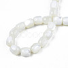 Natural Trochid Shell/Trochus Beads Strands SSHEL-N027-130B-01-4