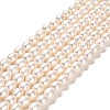 Natural Cultured Freshwater Pearl Beads Strands PEAR-E016-197-1