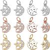 Nbeads 12Pcs 3 Colors  Brass Micro Pave Cubic Zirconia Charms ZIRC-NB0001-81-1