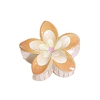 Resin Claw Hair Clips PW-WGCCCD9-03-1