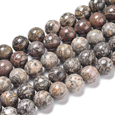 Natural Leopard Skin Jasper Beads Strands G-R474-004-1