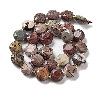 Natural America Picture Jasper Beads Strands G-NH0004-035-1