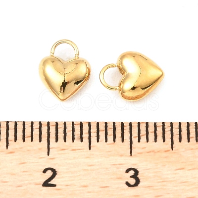 304 Stainless Steel Charms STAS-A089-29G-1