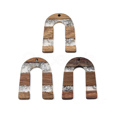 Transparent Resin & Waxed Walnut Wood Pendants RESI-Q211-02B-1