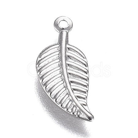 304 Stainless Steel Charms STAS-I166-16P-1