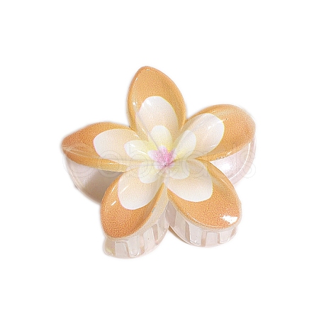 Resin Claw Hair Clips PW-WGCCCD9-03-1