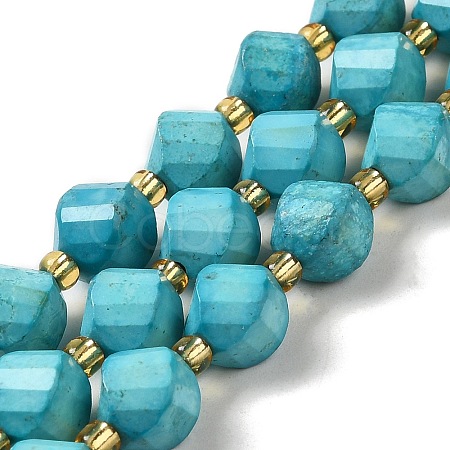 Dyed Natural Howlite Beads Strands G-G023-B01-02C-1