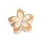 Resin Claw Hair Clips, Hair Accessories for Women & Girls, Floewr, Sandy Brown, 80x70mm