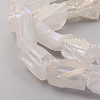 Electroplated Natural Quartz Crystal Beads Strands G-D0009-01B-08-3