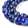 Natural Lapis Lazuli Beads Strands G-E465-8mm-01-6