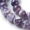 Natural Chevron Amethyst Beads Strands G-P428-04A-10mm-3