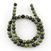 Natural Serpentine/Green Lace Stone Round Bead Strands X-G-E334-6mm-14-6