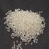 6/0 Transparent Glass Round Seed Beads X-SEED-J010-F6-21-2