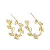 Rack Plating Brass Leaf Wrap Stud Earrings EJEW-F294-03G-2