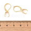 304 Stainless Steel Leverback Earring Findings STAS-U025-01G-02-3