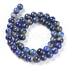 Natural Lapis Lazuli Beads Strands X-G-P335-09-8mm-3