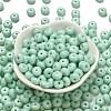 Opaque Colours Glass Seed Beads SEED-C001-03B-02-2